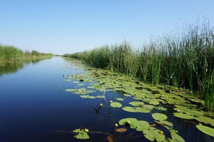 Apartament 2 Camere Semidecomandat "La Gicu" Sulina Exteriör bild